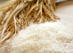 お米は低温倉庫に保管、いつでも新鮮でおいしいお米を。