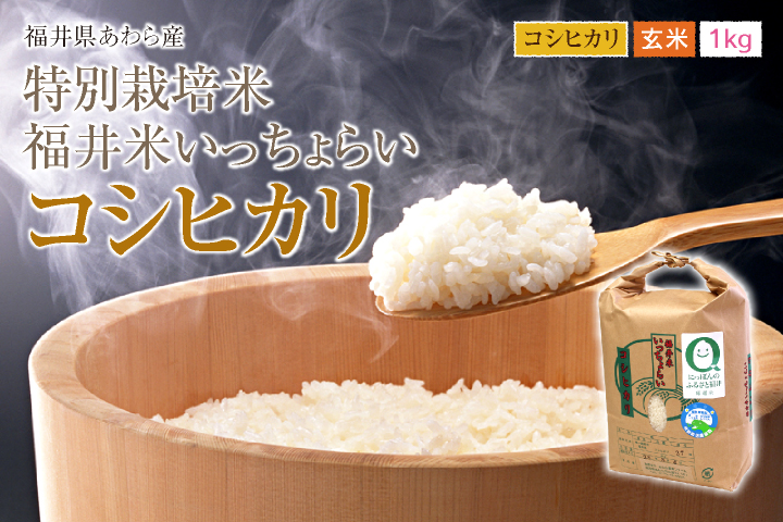 福井県あわら産 特別栽培米コシヒカリ 玄米 1kg